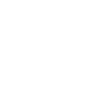 Icon White